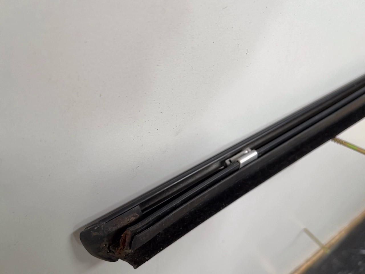 2022-04-29 123833.jpg